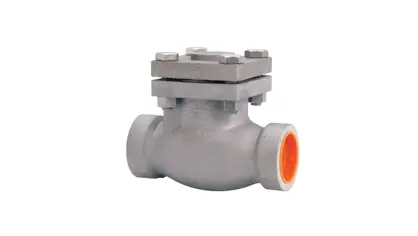 product image of a check valve ss swing