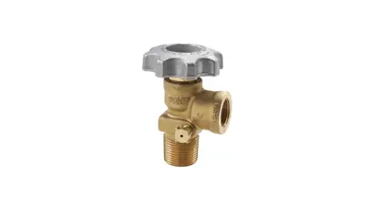 Photo of a Service Valve for Vapour