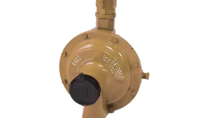 image of a low pressure line regulator