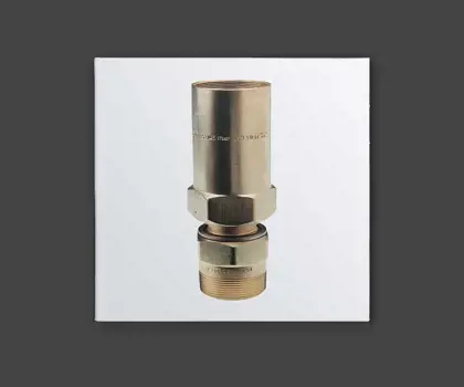 Image of a Pressure Relief Valve