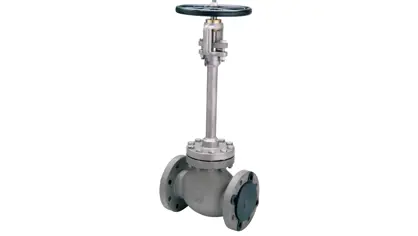 product image of a gate valve ss