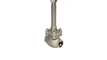 product image of a globe valve SS